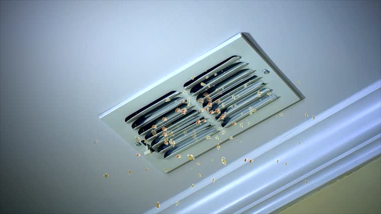 Best General Air Duct Cleaning  in Trenton, MI